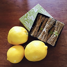 柠檬,香根草,vetivert