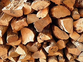 樹干,冬天,logpile