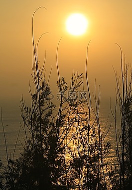 日出,太陽,夏天