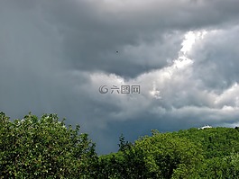 樹,多云,天空