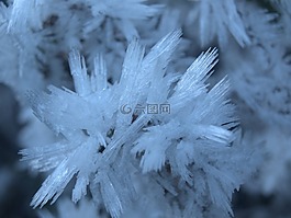 晶體,霜,冬天