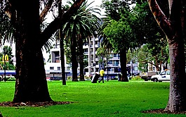 工人,公園,自然