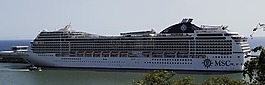 船舶,旅行,游輪