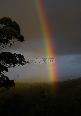 彩虹,天空,黑暗的天空