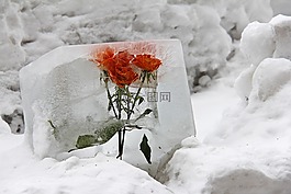 花,冰,德卡
