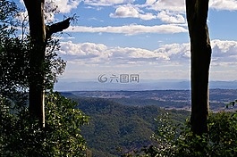 景觀,樹,農(nóng)村