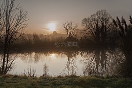 黎明,樹(shù),景觀