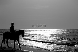 馬,跳線,海