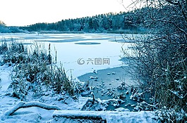 冬天,雪,地平線