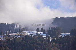 雪,冬天,天空