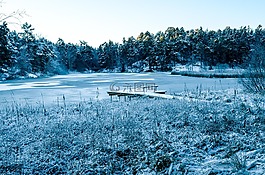 冬天,雪,地平線