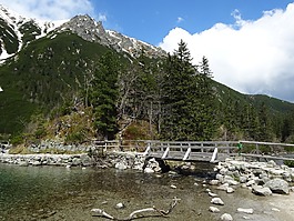 冬奧會(huì),山,波蘭