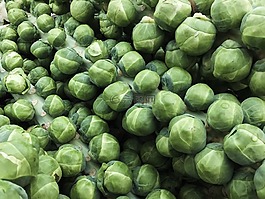 豆芽,蔬菜,食品