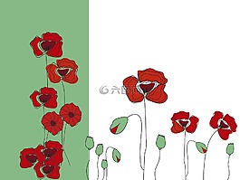 罌粟,開花,紅色