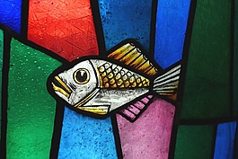 染色玻璃,魚,玻璃