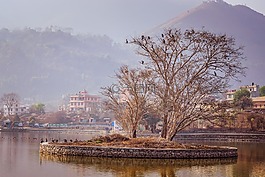 水,樹(shù),反思