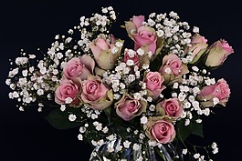 玫瑰,玫瑰花,鮮花