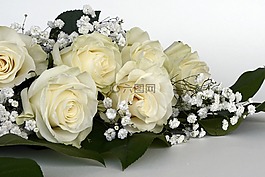 玫瑰,玫瑰花,鮮花