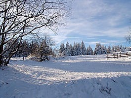 戈斯拉爾,torfhaus,雪