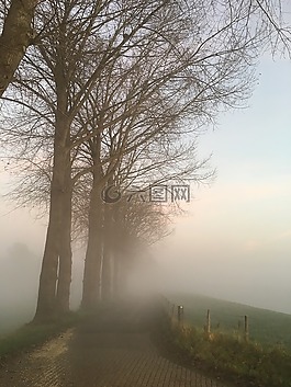 道路,模糊,樹木