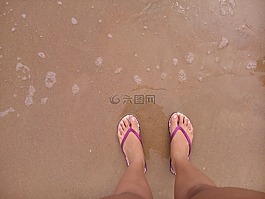 拖鞋,腳,夏天