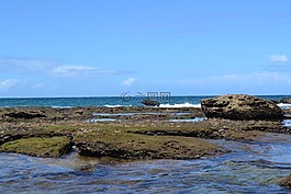 海灘,mar,溶膠
