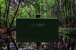 盾,板,董事會