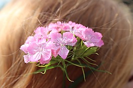 花在她的頭發(fā),粉紅色,小花朵