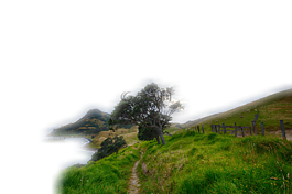 景觀,高峰,草