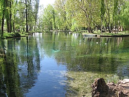 湖,池塘,柳樹(shù)