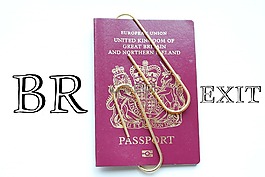 brexit,護照,控制