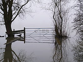 洪水,朦朧,農(nóng)場