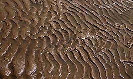砂,質(zhì)地,海灘