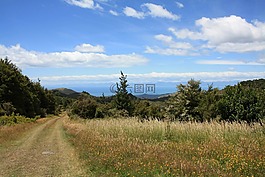 夏天,視圖,藍(lán)色的天空