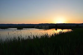 日落,天空,景觀