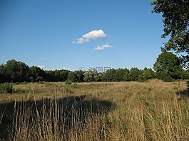 景观,kampinos,国家
