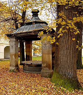 好，,屋頂,樹