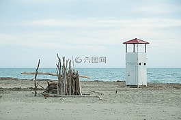 海,海灘,木樹干