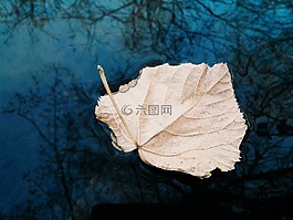 河,工作表,秋季
