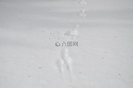 腳印,雪,性質(zhì)
