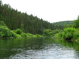 森林,性質(zhì),夏季
