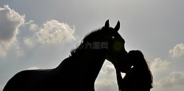 馬,日落,吻