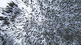 雪,冬天,白