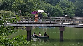 景觀,日本,大坂
