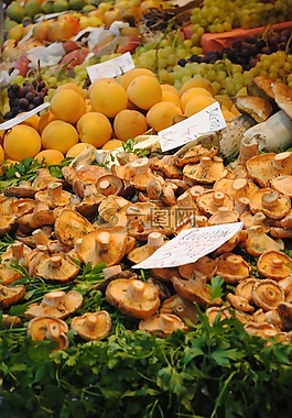 室內(nèi)市場,瓦倫西亞,食品市場