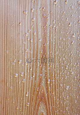 木,滴,雨