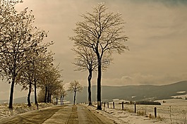 冬天,季節(jié),雪