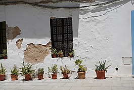 首頁,白,eivissa