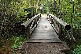 橋,自然,河