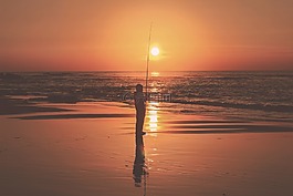 海,海洋,水